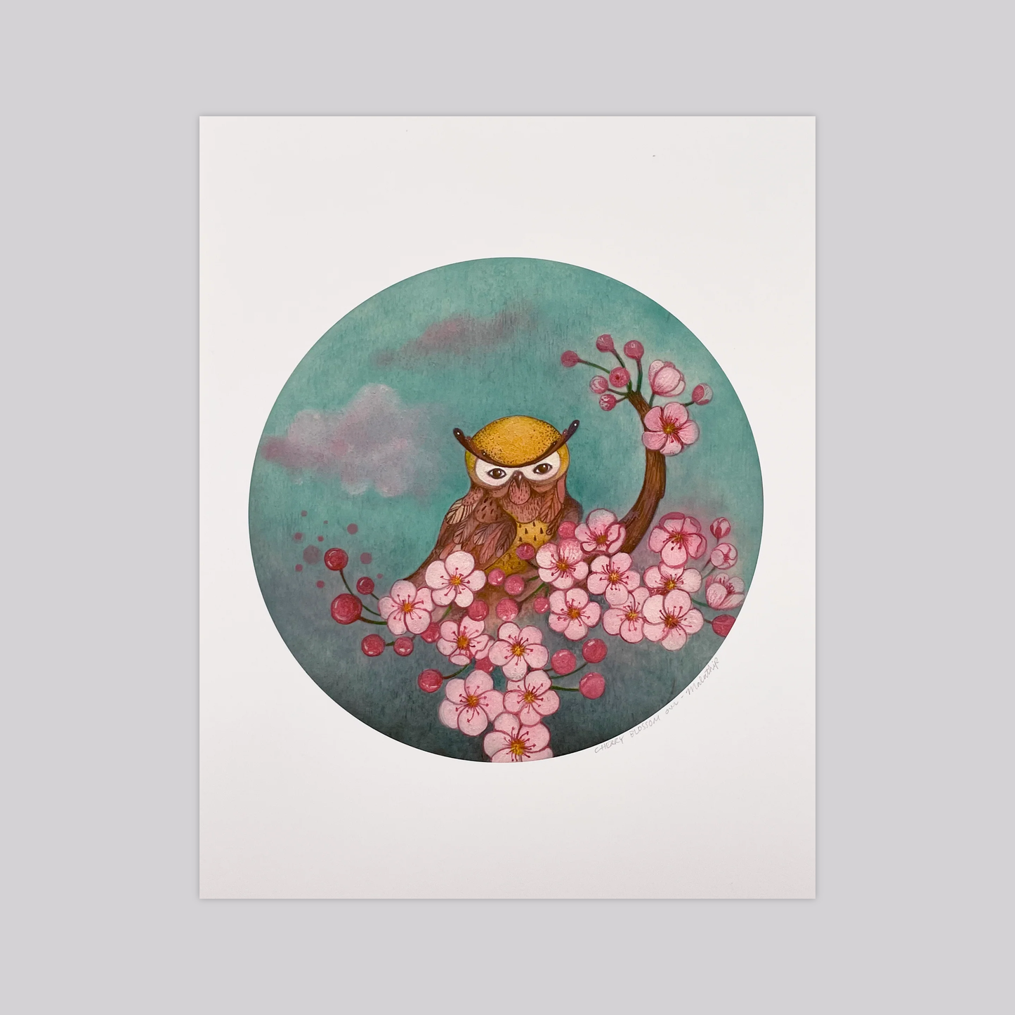 Cherry Blossom Owl - Art Print